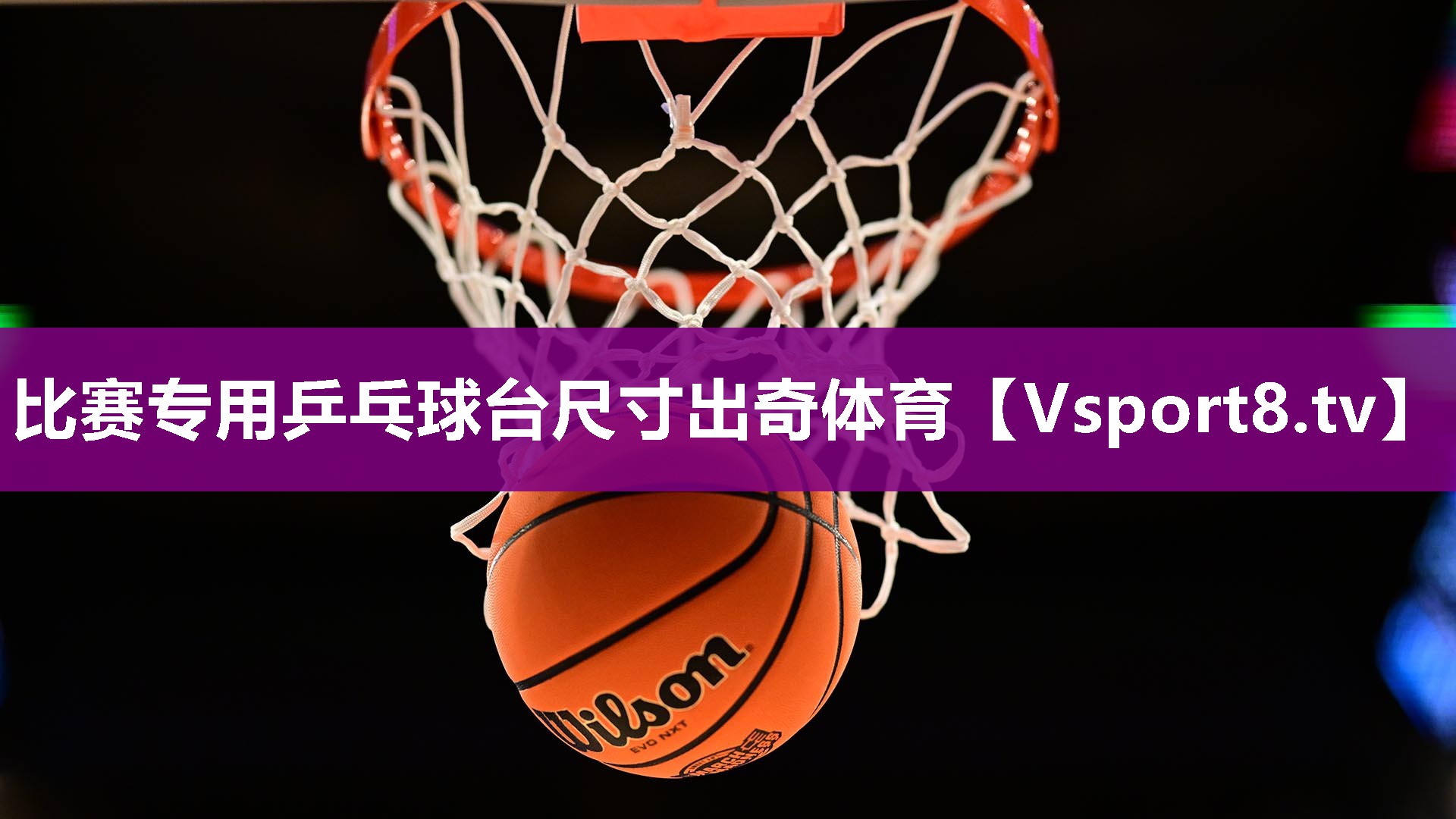 比赛专用乒乓球台尺寸出奇体育