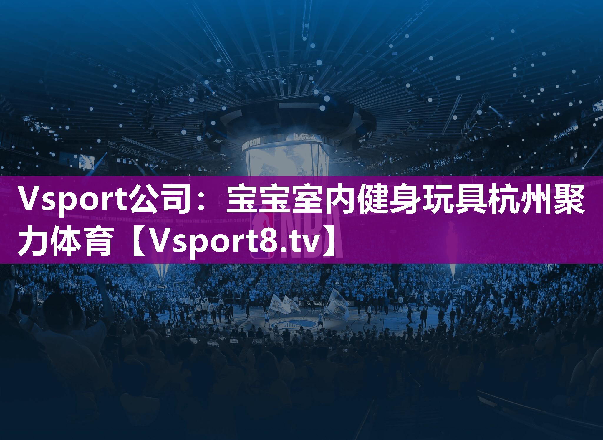 Vsport公司：宝宝室内健身玩具杭州聚力体育
