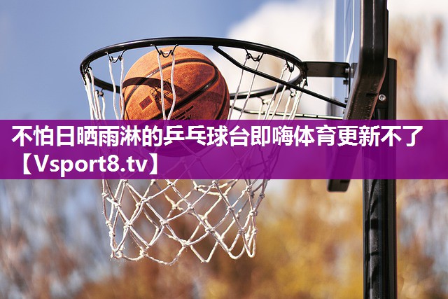 不怕日晒雨淋的乒乓球台即嗨体育更新不了